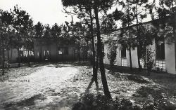 Colonie de Saint-Hilaire de Riez