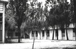Colonie de Saint-Hilaire de Riez