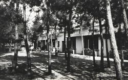 Colonie de Saint-Hilaire de Riez