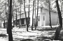 Colonie de Saint-Hilaire de Riez