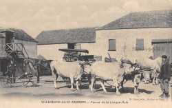 Une ferme
