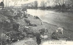 Berges de la Seine