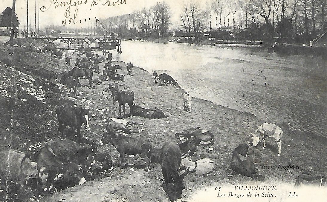 Paturage