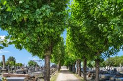 Le cimetière