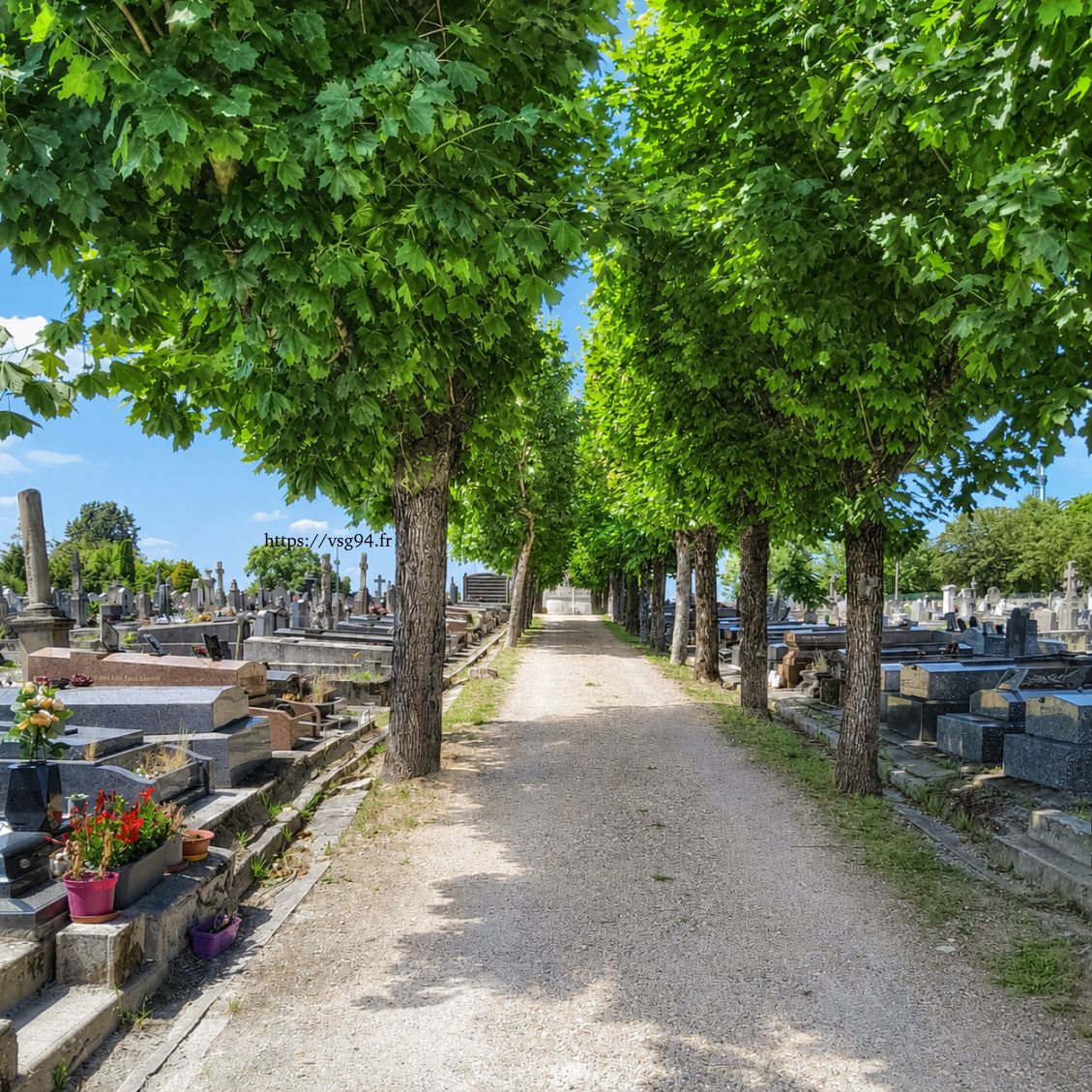 Le cimetière